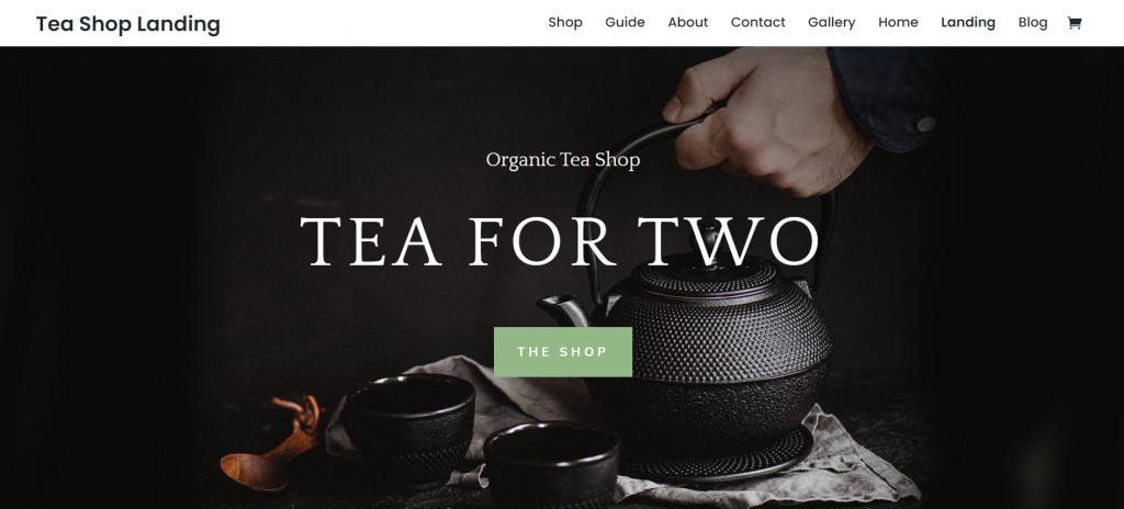 theme-wordpress-ecommerce Thème WordPress d'e-commerce Divi