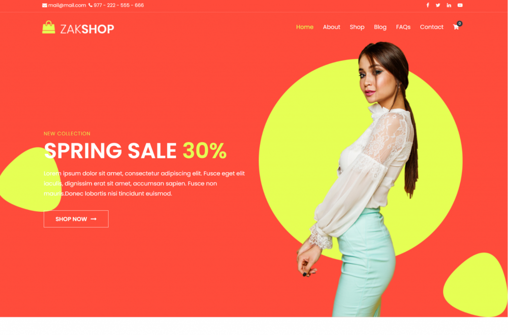 theme-wordpress-ecommerce Thème WordPress d'e-commerce Zakra