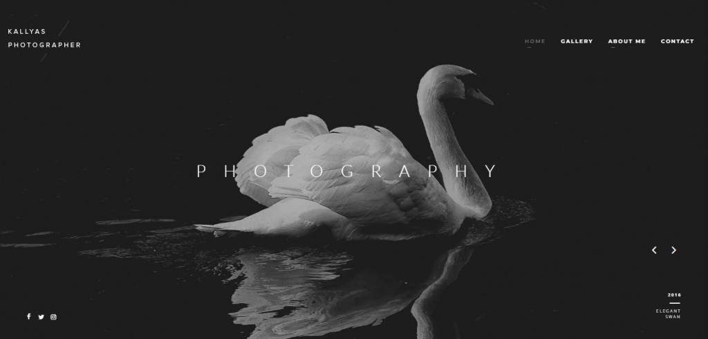 theme-wordpress-photographe Kallyas thème WordPress pour photographe