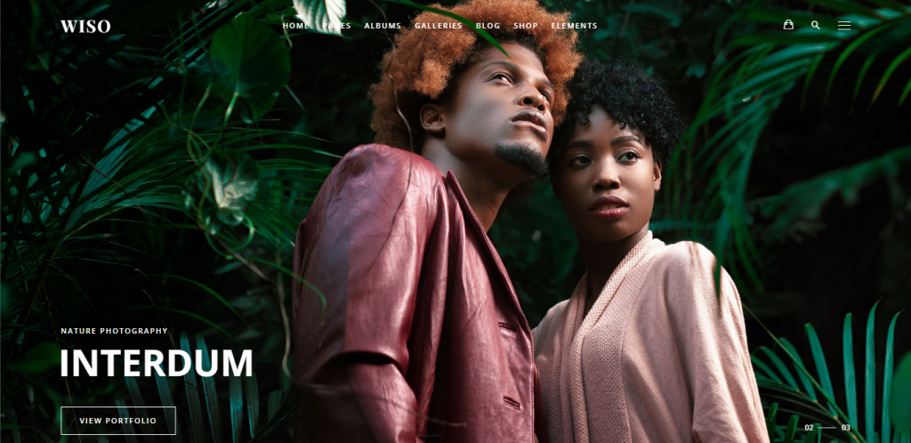 theme-wordpress-photographe Thème WordPress Wiso pour photographe
