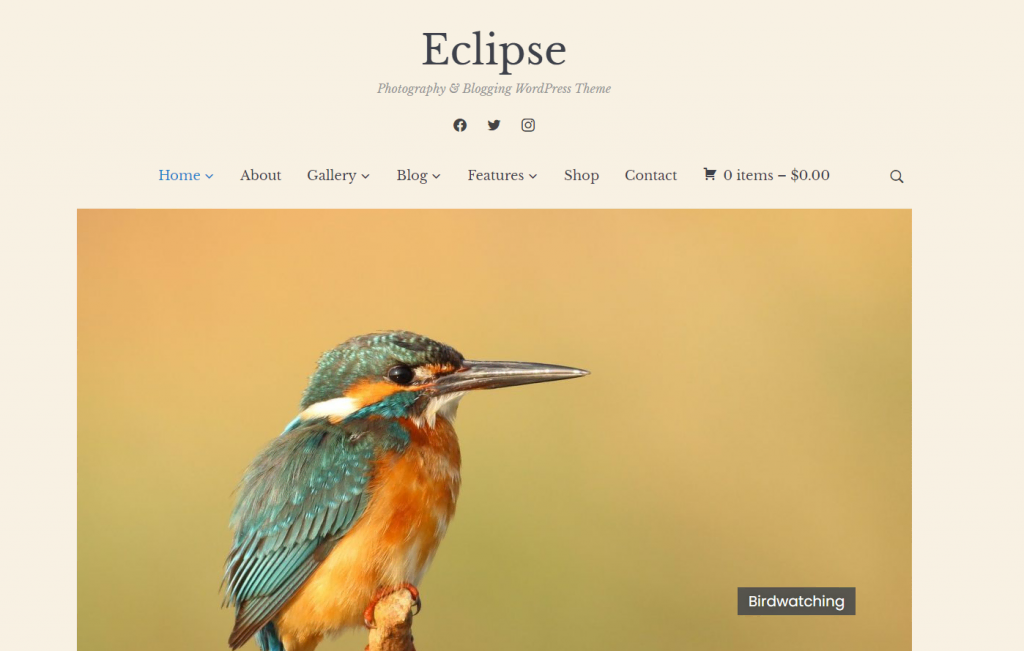La page d'accueil du site démo du thème Eclipse