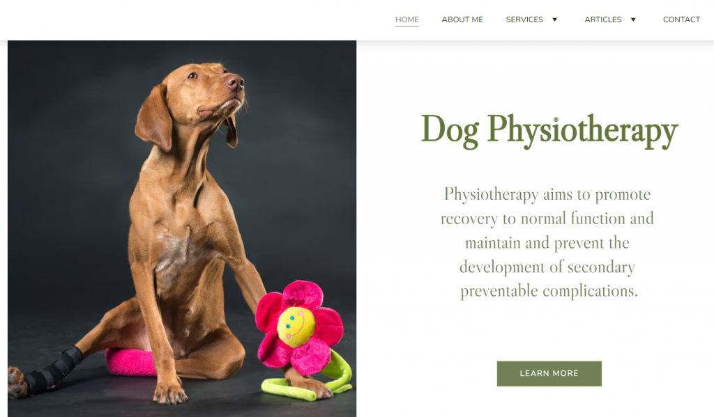 exemples-de-sites-de-services-professionnels Page d'accueil de Petra Therapy